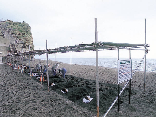 山川砂むし温泉 砂湯里