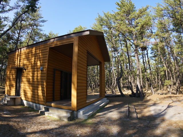 くにの松原キャンプ場の画像 1枚目