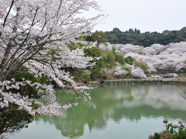 市来観音ヶ池「市民の森」の画像 1枚目