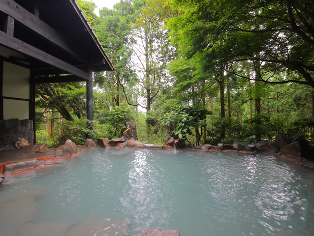 さくらさくら温泉(日帰り入浴)の画像 1枚目