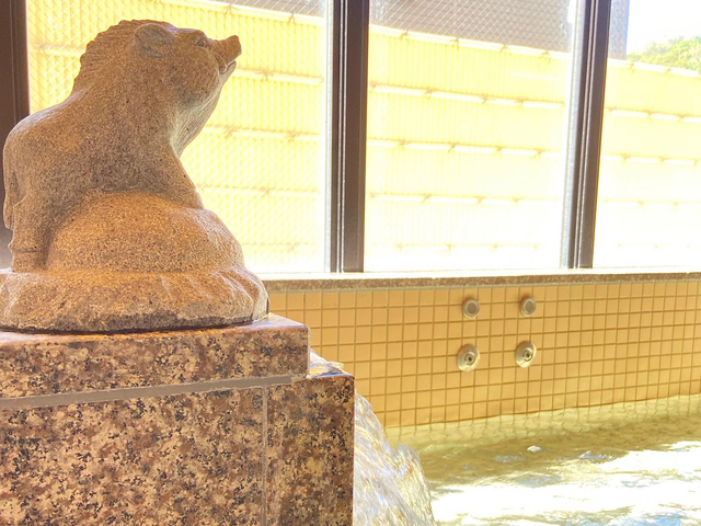 クアドーム阿久根の画像 3枚目