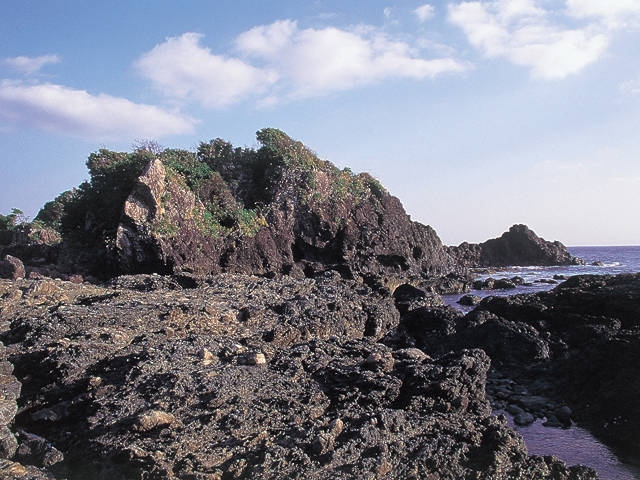 屋久島町の枕状溶岩の画像 3枚目