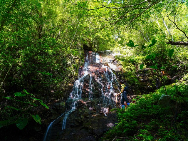 奄美群島国立公園の画像 1枚目