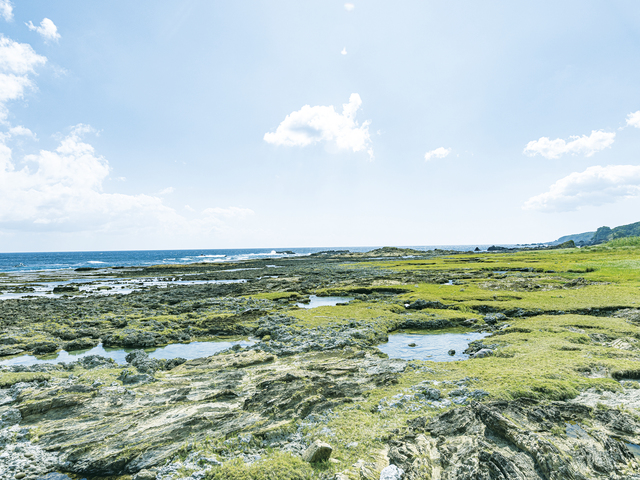春田浜海水浴場の画像 1枚目