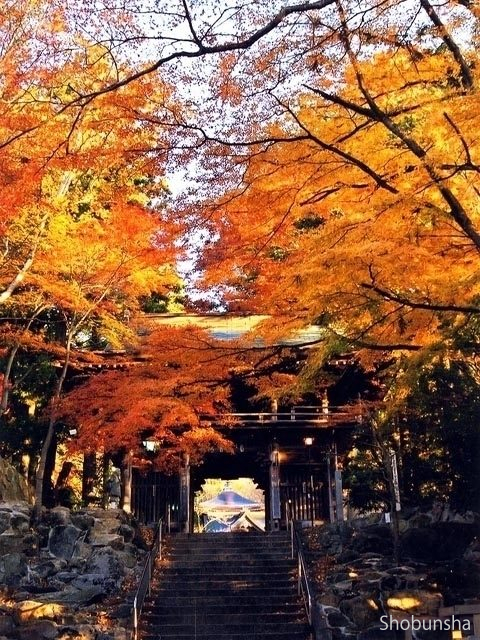 大窪寺【香川県】