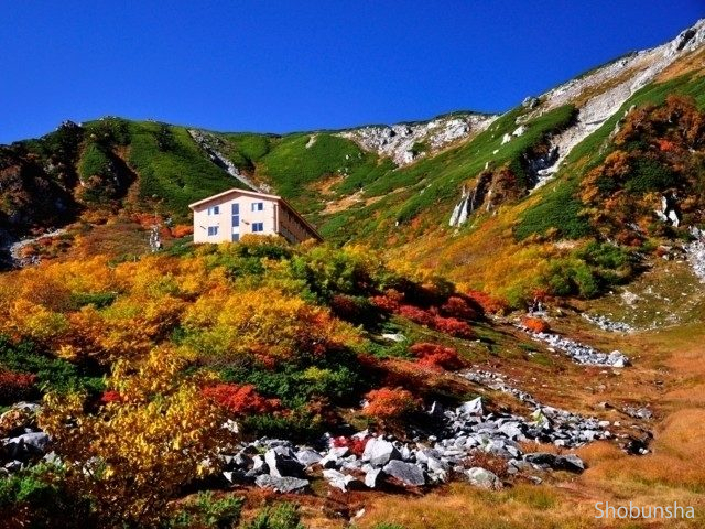 中央アルプス駒ヶ岳ロープウェイ(ロープウェイ)【長野県】