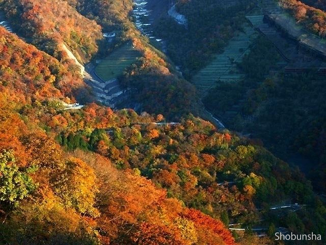 日光いろは坂(ドライブ)【栃木県】