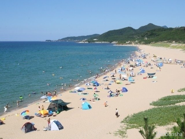 キュキュッと鳴く砂浜 琴引浜掛津海水浴場(京都府)