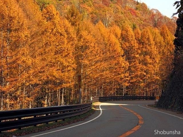 飛騨美濃せせらぎ街道(ドライブ)【岐阜県】