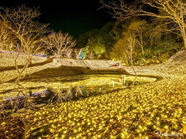 NESTA ILLUMINA ~光のさんぽみち~【兵庫県】