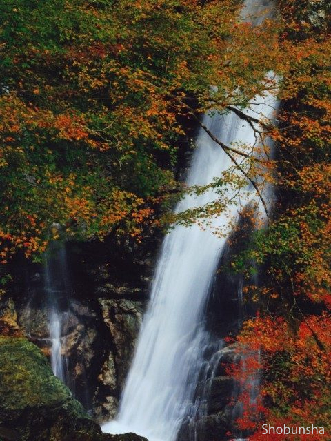 原不動滝(ライトアップ)【兵庫県】