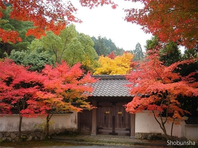 呑山観音寺【福岡県】
