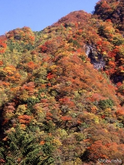 全国のおすすめ紅葉スポット 年版 例年の見頃時期やイベント ライトアップなど情報満載 まっぷるトラベルガイド