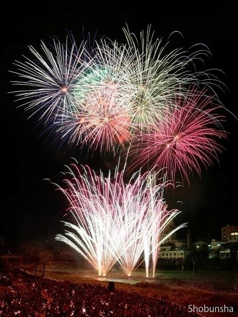 下呂温泉花火ミュージカル夏公演(岐阜県)