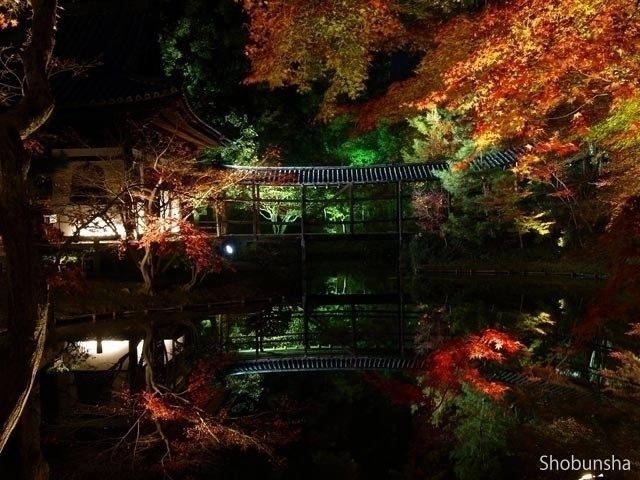 高台寺(ライトアップ)【京都府】