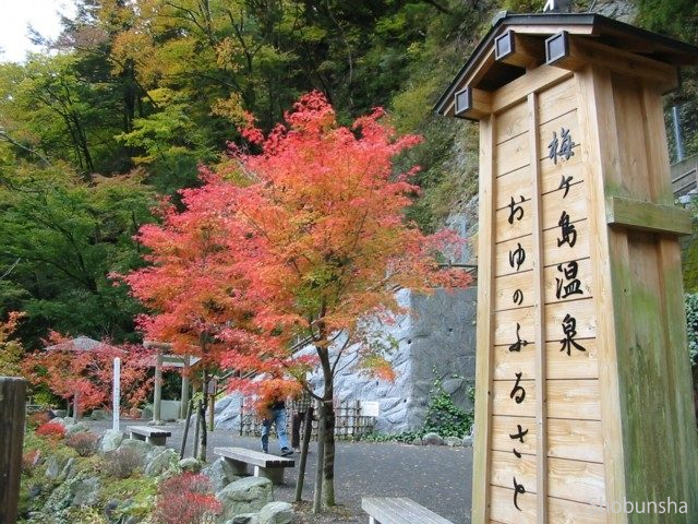 梅ヶ島温泉(ライトアップ)【静岡県】