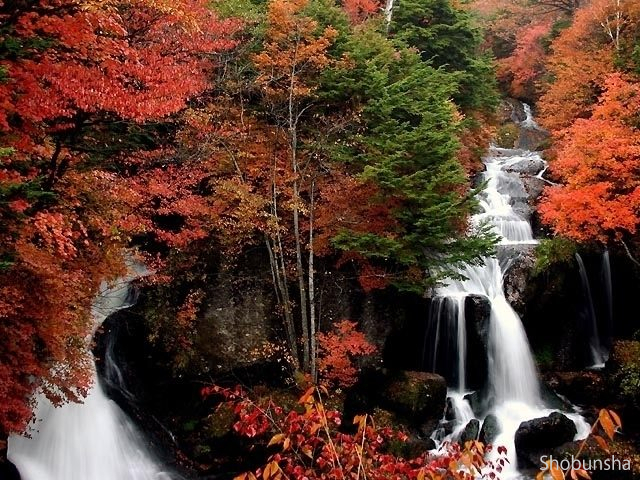 竜頭ノ滝【栃木県】