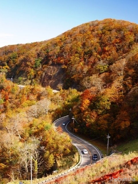 全国のおすすめ紅葉スポット 年版 例年の見頃時期やイベント ライトアップなど情報満載 まっぷるトラベルガイド