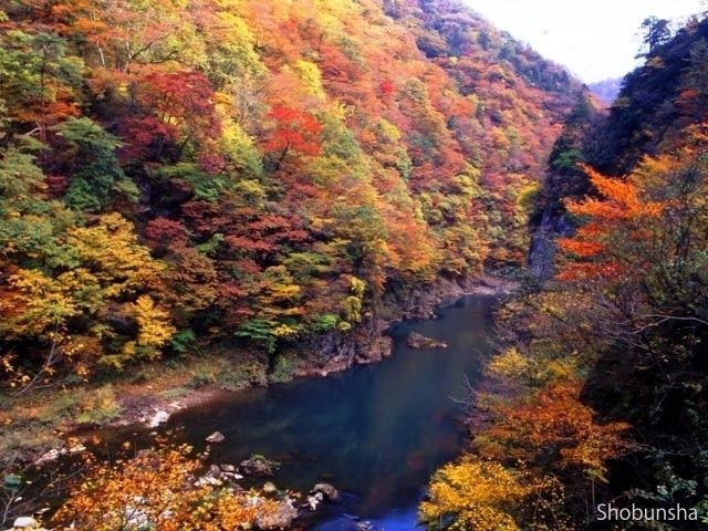 抱返り渓谷【秋田県】