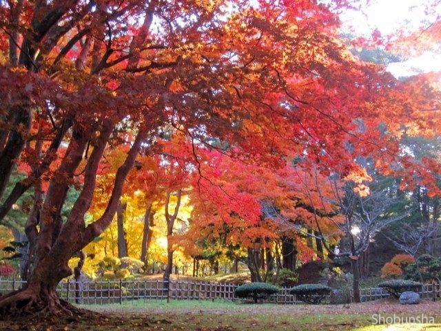 見晴公園(ライトアップ)【北海道】