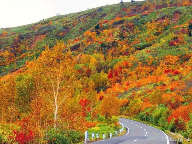 八幡平山腹(ドライブ)【岩手県】