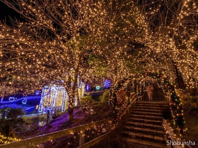備北イルミ【広島県】