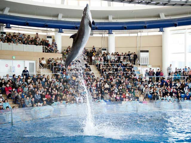 茨城 アクアワールド 大洗 ショーやイベントが盛りだくさん まっぷるトラベルガイド