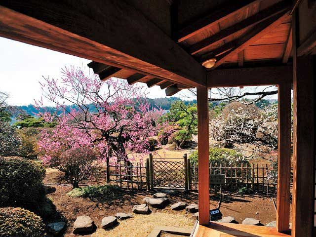 水戸 偕楽園 へ行こう 日本三名園のひとつ 観光旅行メディア まっぷるトラベルガイド