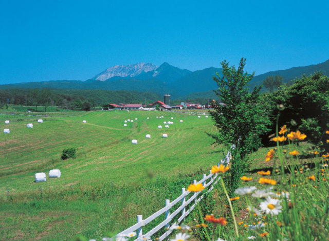 岡山 蒜山 大山 絶景ドライブ のどかな高原から雄大な山岳へ 観光旅行メディア まっぷるトラベルガイド