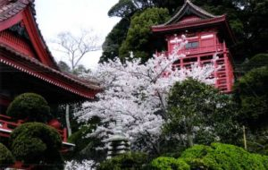 千葉 銚子電鉄 気ままに途中下車を楽しもう 観光旅行メディア まっぷるトラベルガイド