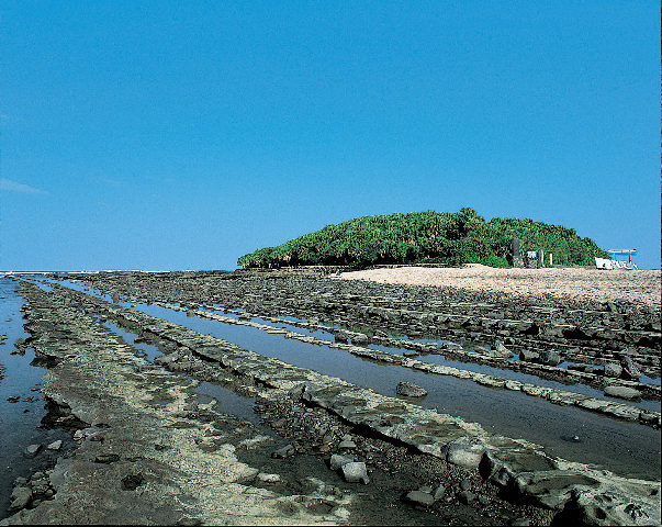 宮崎 青島周辺 で人気 おすすめの観光 グルメスポット 観光旅行メディア まっぷるトラベルガイド