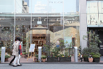 【大阪】堀江ってこんなとこ!