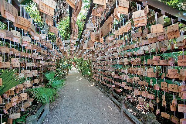 【日南海岸ドライブ】青島神社