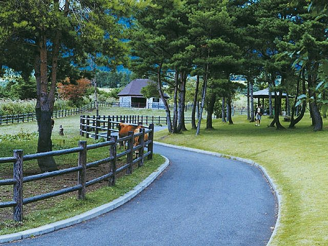 岡山 蒜山 で人気 おすすめの観光 グルメスポット 観光旅行メディア まっぷるトラベルガイド