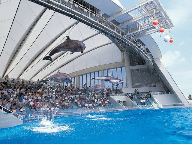 福岡 海の中道 ２大スポットへ マリンワールド 海浜公園 まっぷるトラベルガイド