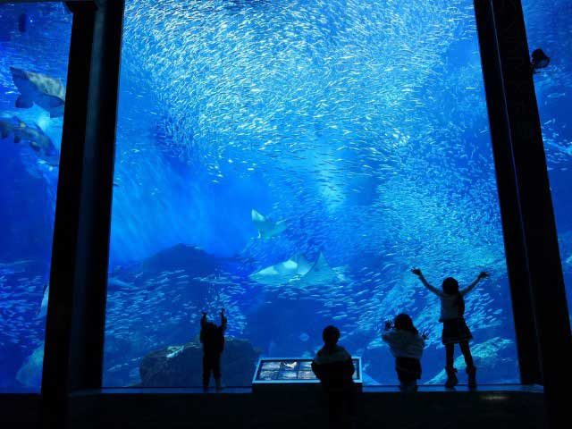 福岡 海の中道 ２大スポットへ マリンワールド 海浜公園 まっぷるトラベルガイド