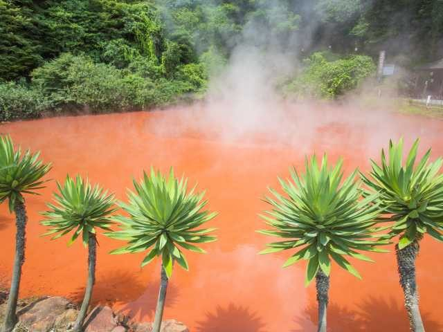 大分 別府 地獄めぐり ７つの地獄をチェック まっぷるトラベルガイド