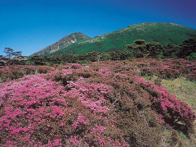 鹿児島 霧島 で人気 おすすめの観光 グルメスポット まっぷるトラベルガイド