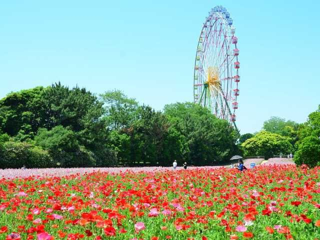 ガイドブック編集部が制作 つくば 霞ヶ浦 見どころ レジャーのおすすめ観光旅行ガイド記事 まっぷるトラベルガイド