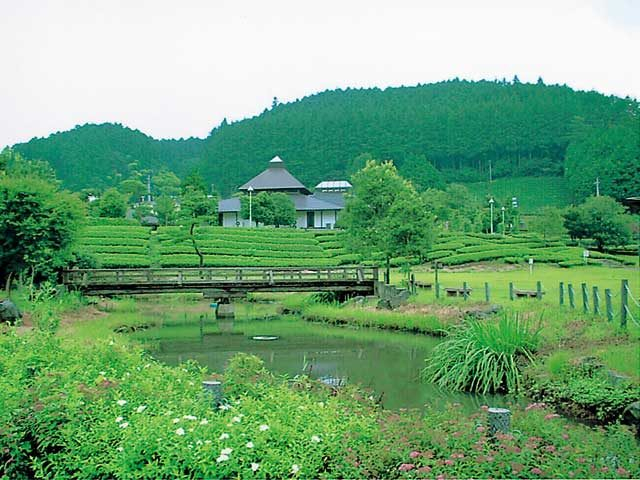 奥久慈茶の里公園
