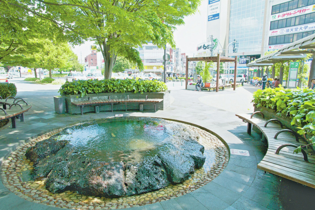 伊豆 三島 三島駅周辺観光おすすめモデルコース 三嶋大社や水辺をめぐる まっぷるトラベルガイド