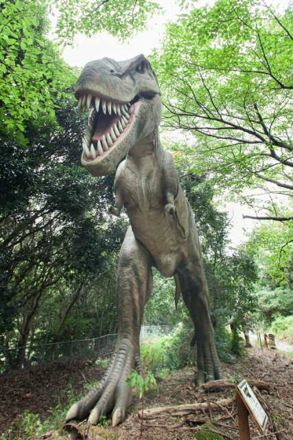 伊豆アニマルキングダムでドキドキ体験!