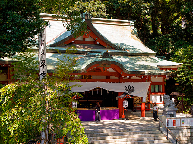 伊豆 熱海 來宮神社お参りガイド 伊豆随一のパワースポットへgo まっぷるトラベルガイド