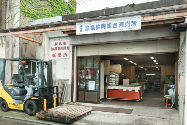 湯河原 網代の観光 グルメおすすめスポットをご紹介 ひと足延ばして多賀の観光スポットも 22枚目の画像