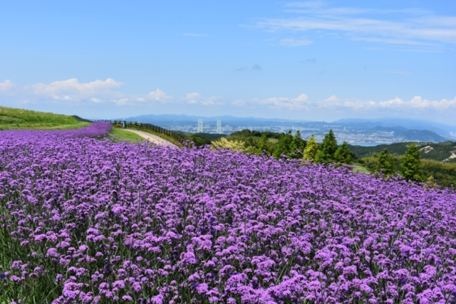 淡路島ドライブモデルコース 島の魅力を1日で満喫しよう まっぷるトラベルガイド