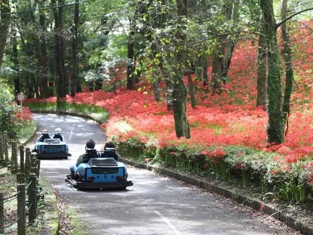 宮崎 霧島 えびの 花と緑あふれる高原の遊び場へ まっぷるトラベルガイド