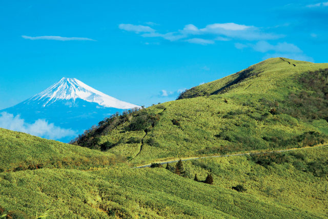 西伊豆の観光ドライブモデルコース～富士山ビューコース ～