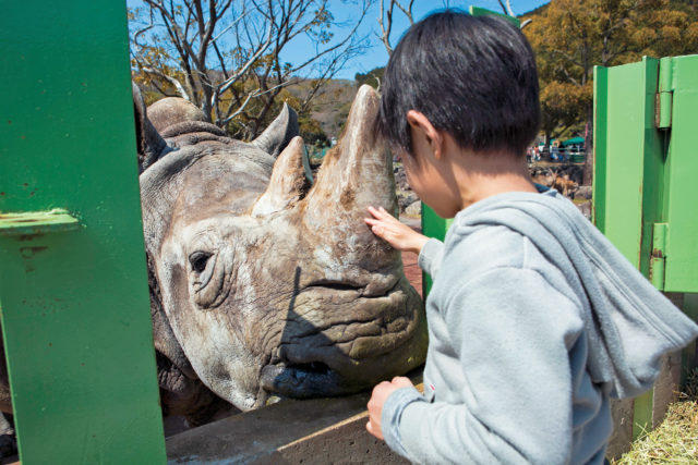 伊豆アニマルキングダムは360°の大迫力が楽しめる!