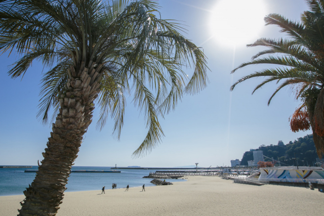 東伊豆の観光ドライブモデルコース オーシャンビューコース まっぷるトラベルガイド