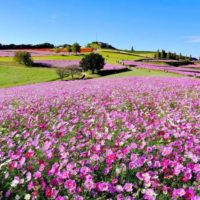 淡路島観光完全ガイド おすすめスポットからモデルプランまで 淡路島の観光 旅行情報をまとめてご紹介 観光旅行メディア まっぷるトラベルガイド